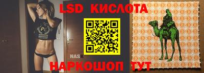 стаф Волжский