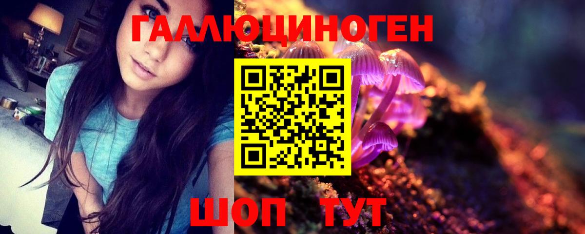 Вышний Волочёк  Галлюциногенные грибы мицелий  Вход с VPN 