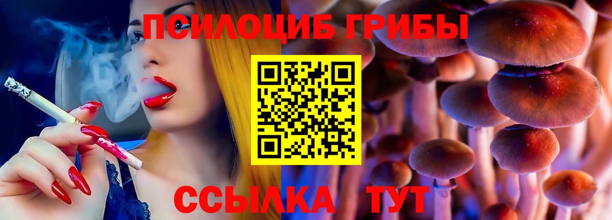 Галлюциногенные грибы мицелий Вышний Волочёк